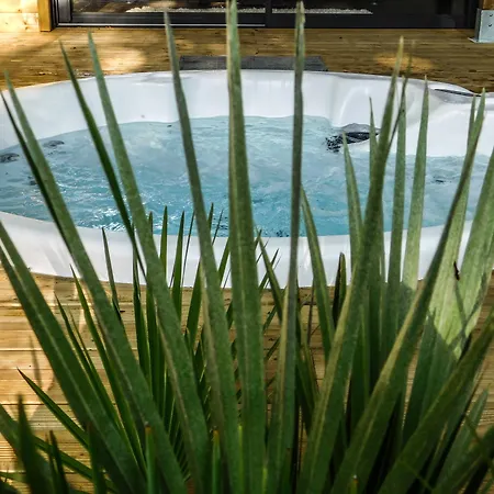 Hotel L'haute En Couleur Audenge